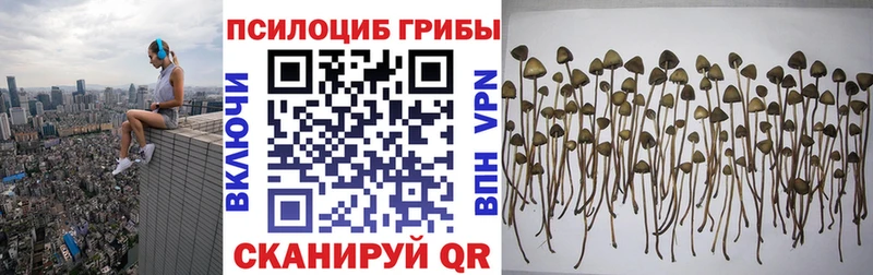 Купить закладки  Тавда  Псилоцибиновые грибы Cubensis 